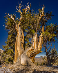 Southwestern US