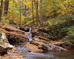 Autumn